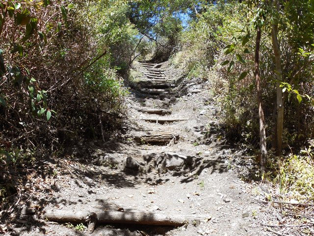 Une idée du sentier lors de la descente