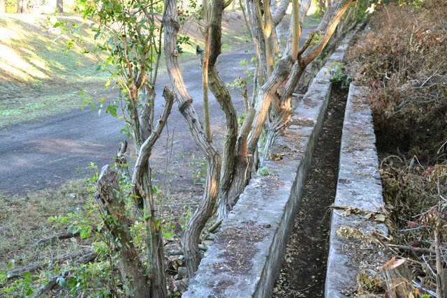 Des canaux à sec qui transportaient l'eau vers les piscicultures avant l'invention des tuyaux PVC
