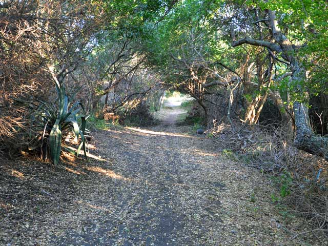 Le très beau sentier VTT qui longe le bord de l'étang