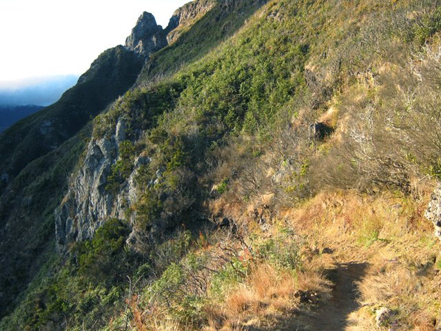 Le pain de sucre du Maïdo vu depuis la portion plate du sentier