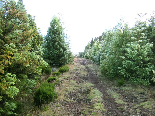 La piste au départ avant le lever du jour