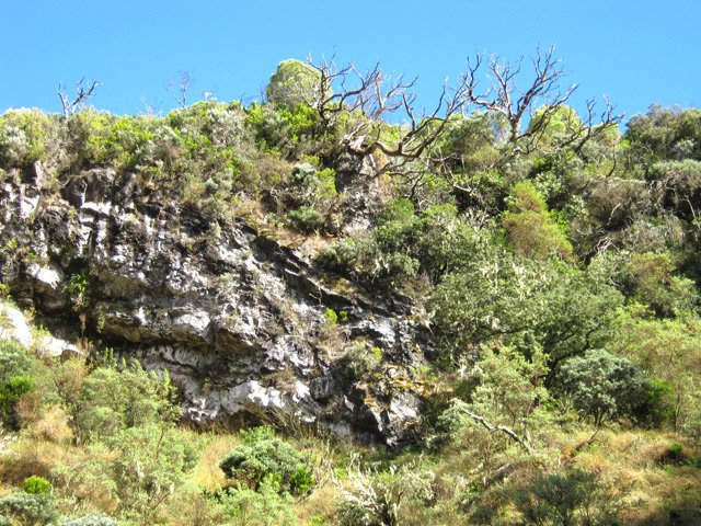 Parties rocheuses totalement incultes