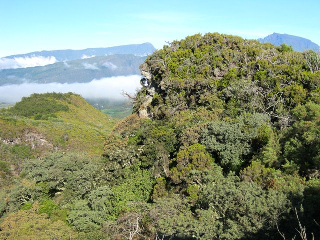 Les abords du rempart sont désormais couverts de végétation