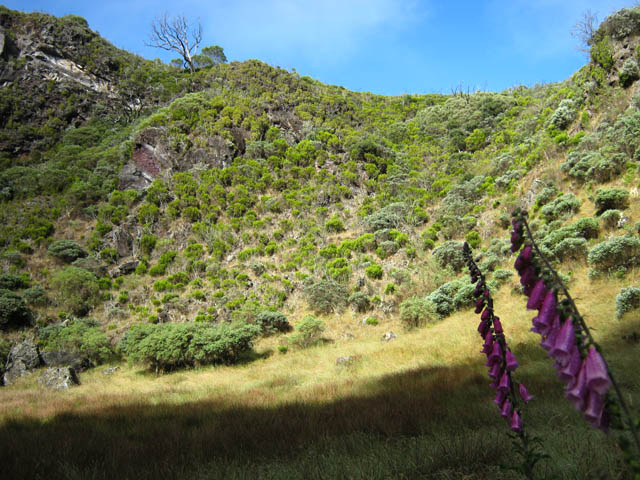 La pente d'où l'on descend dans le fond