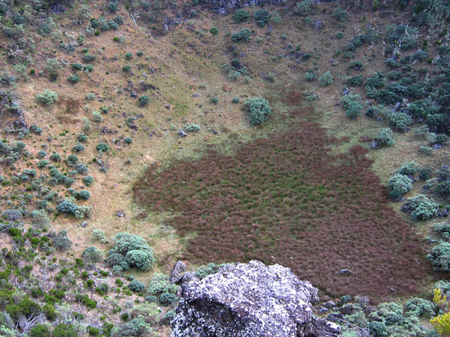 Coup d’œil sur la partie marécageuse depuis le bord du cratère