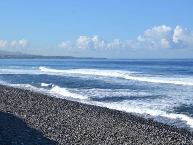 Traversée de l'étroite bande pour se diriger vers l'océan