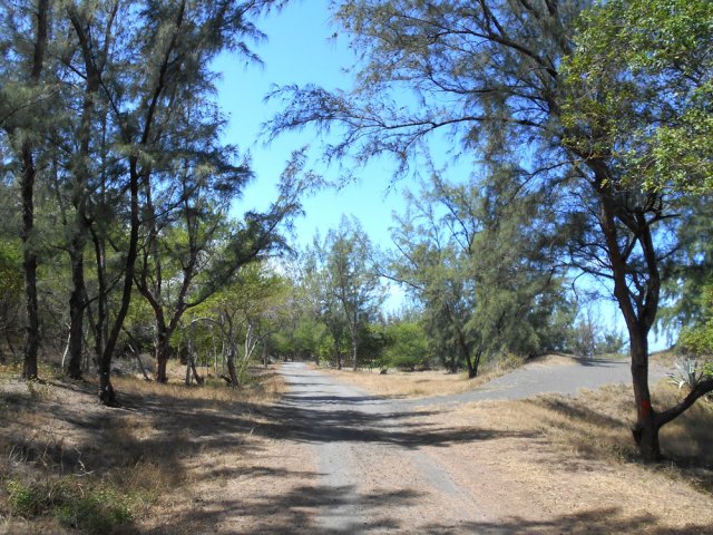 Des allées transversales permettent de zigzaguer entre les différents itinéraires