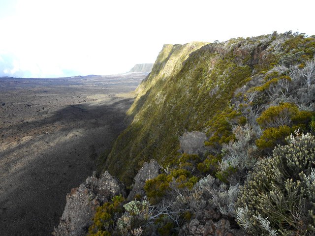 L'Enclos Fouqué qu'on voit souvent en deuxième partie de trajet