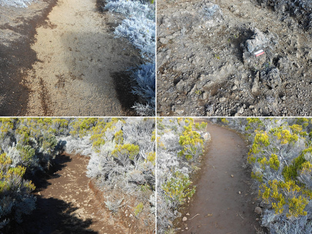 Quelques idées du sentier (sable, cailloux, terre)