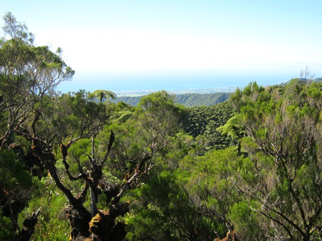 Point de vue jusqu'à l'Océan