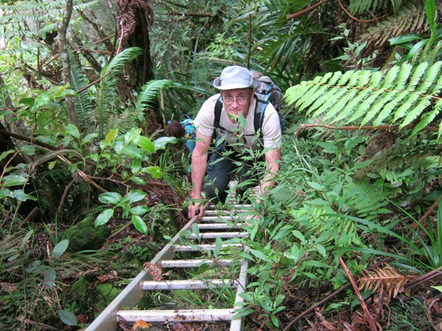 Sans les échelles, la descente serait plus acrobatique