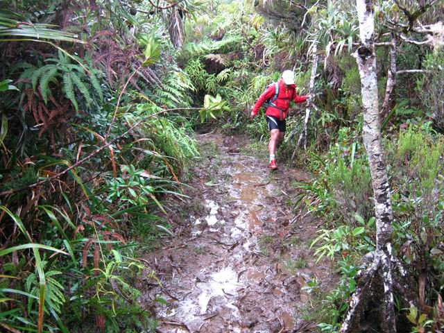 Même par temps sec, le sentier est boueux