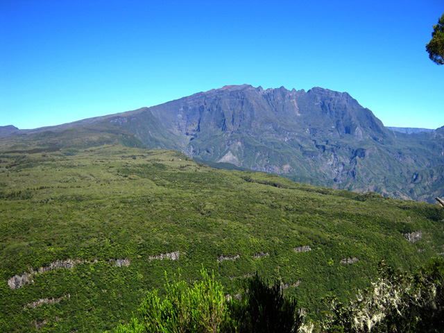 La Forêt de Bélouve, le Cap Anglais et le Piton des Neiges depuis le point de vue