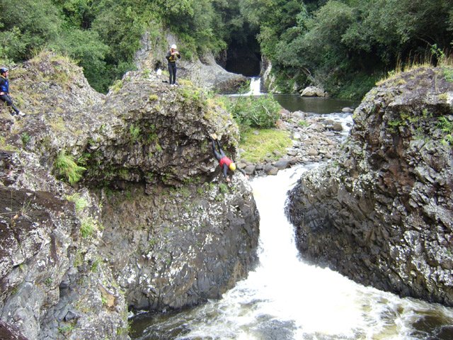 Pourquoi marcher quand on peut nager et plonger