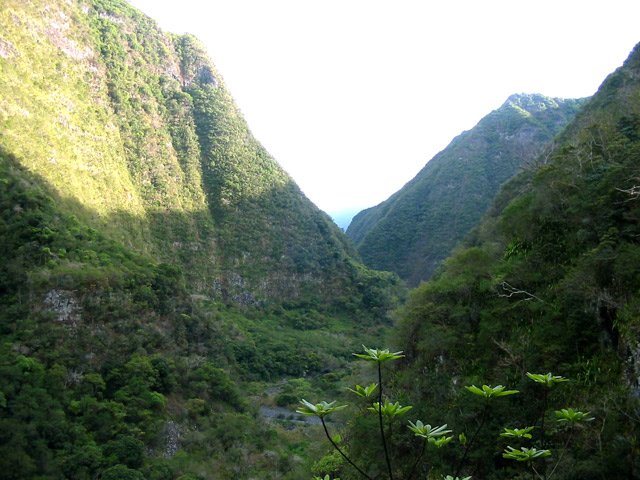 Vue sur la vallée qu'on va remonter jusqu'à Grand Bassin
