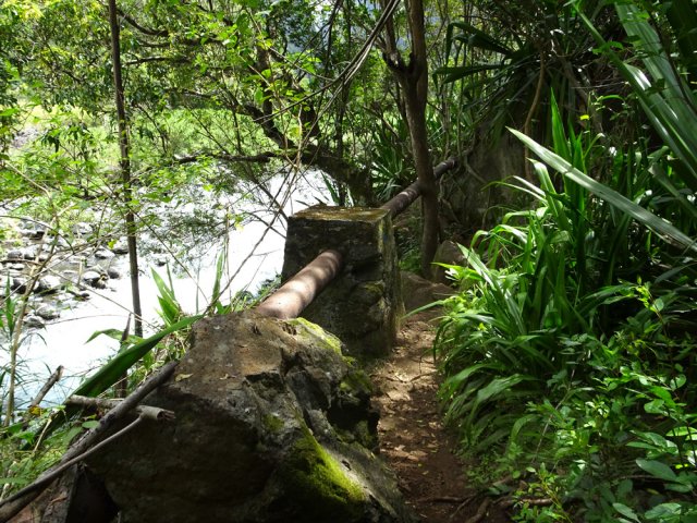 Un agréable sentier en direction des îlets située en rive gauche