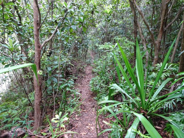 Le sentier en rive gauche en direction de Grand Bassin