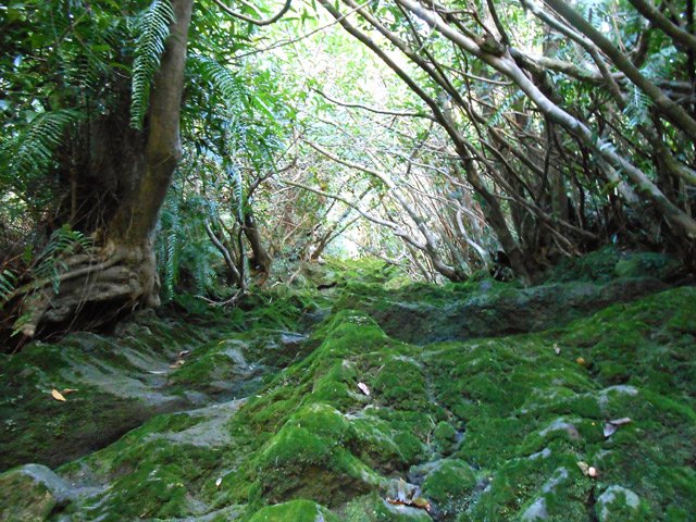 La ravine Pavée pour une escapade si le sol est sec