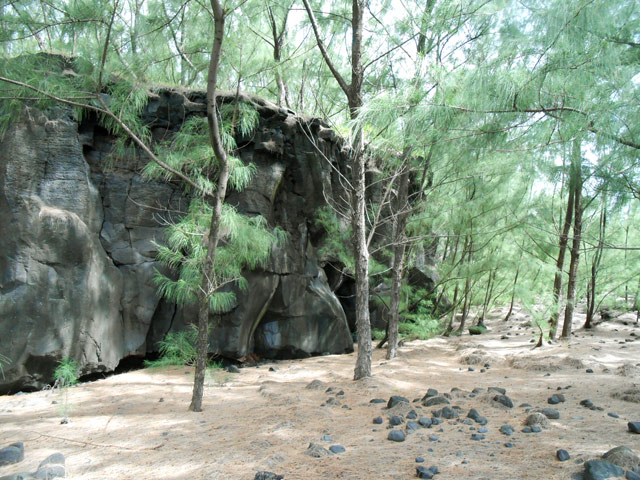 La falaise basaltique empêche toute remontée. La suivre sur 150 m avant de trouver un passage