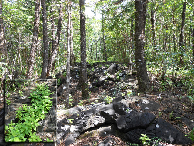 Le sentier qui remonte à la route. Attention aux fissures !