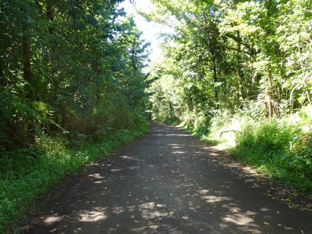 Agréable descente par la petite route du vieux port