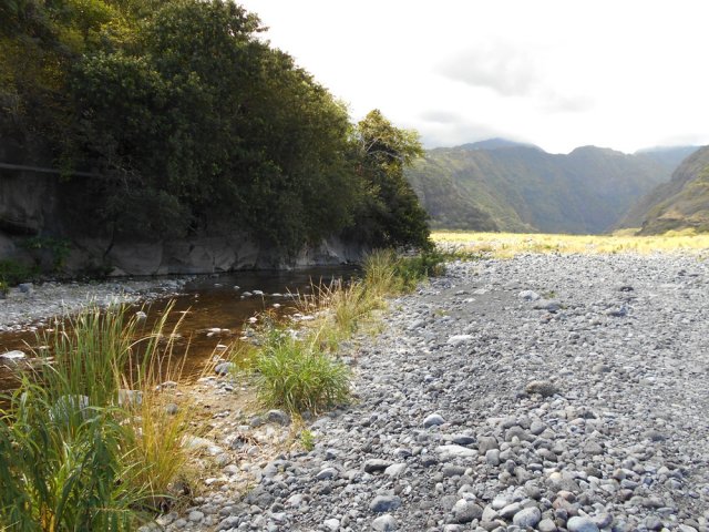 On débute la remontée de la rivière en suivant la rive gauche