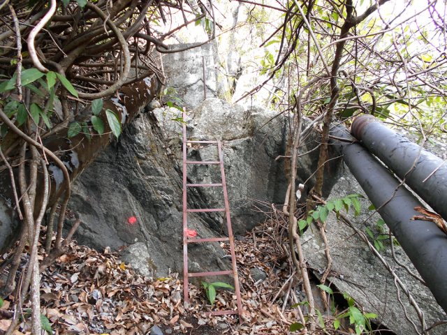 L'échelle est un passage obligé en tout début de montée