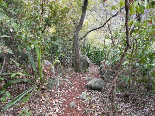 Les rares parties plates se situent à l'emplacement du très ancien îlet abandonné
