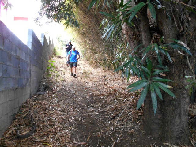 Début de la descente vers la Rivière des Galets par des raccourcis de la route