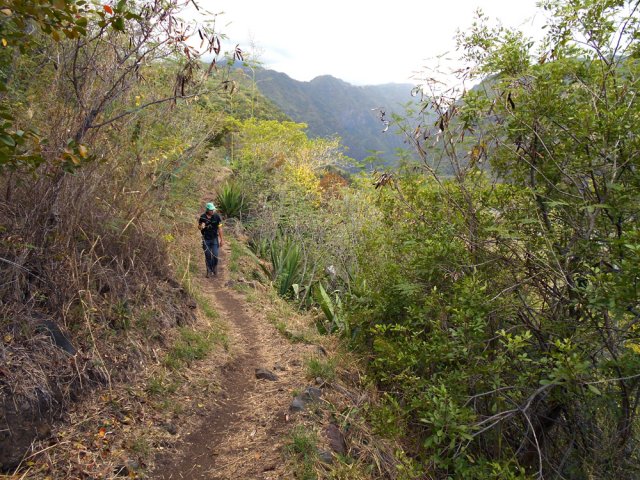 Le sentier de retour n'a vraiment rien à voir avec la montée