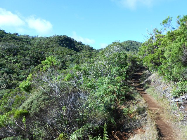 A gauche, la Forêt de la Plaine d'Affouches