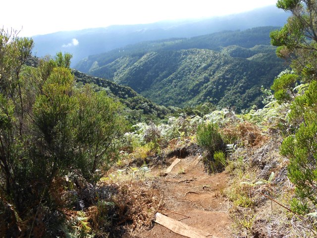 Quelques petites pentes avec vue sur la vallée de la Rivière Saint-Denis