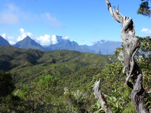 Fin proche de la Plaine d'Affouches
