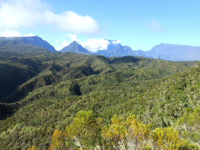 La Forêt de la Plaine d'Affouches