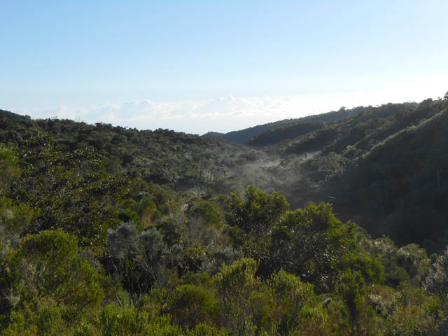 Les dernières brumes matinales vont quitter la Forêt de la Plaine d'Affouches