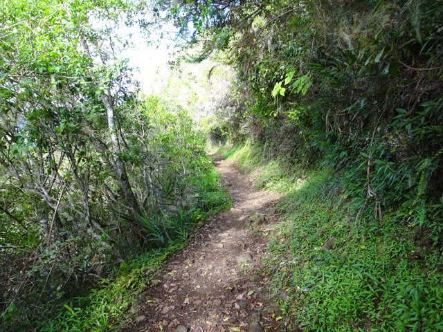 Sentier vers le Cap Noir dans une partie plate