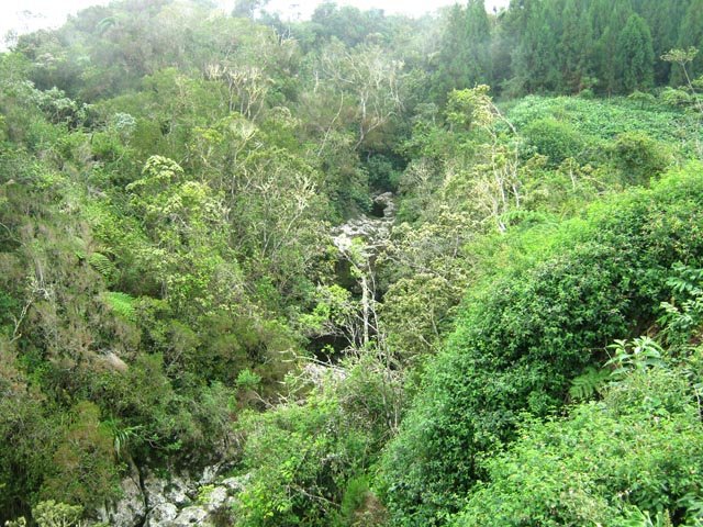 La Ravine des Avirons en amont