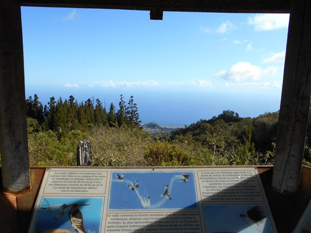 Point de vue sur le Piton de Boue