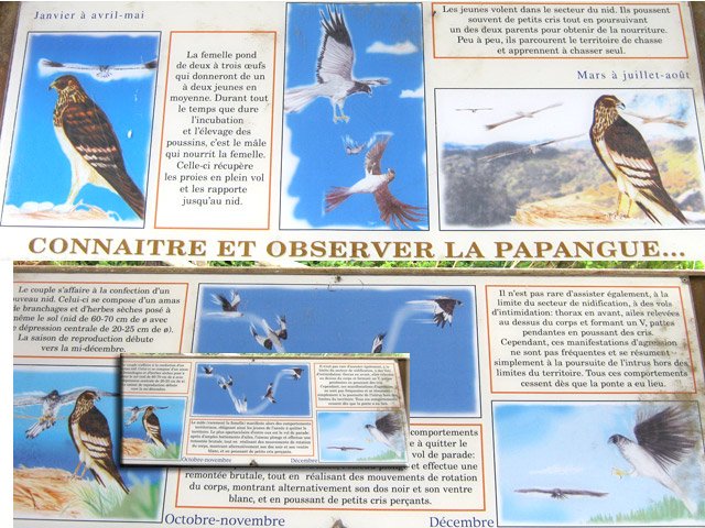 Quelques minutes pour se cultiver