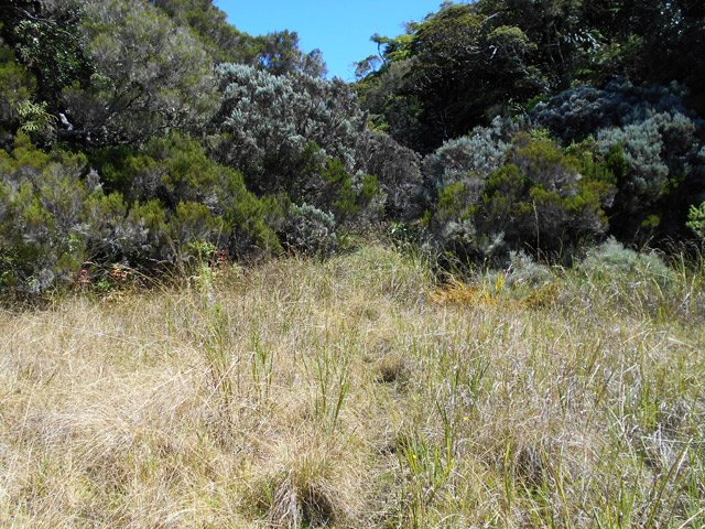 Le sentier est bien visible en traversant la petite clairière