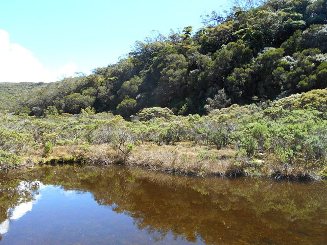 La mare la plus remarquable avec une faible profondeur d'eau