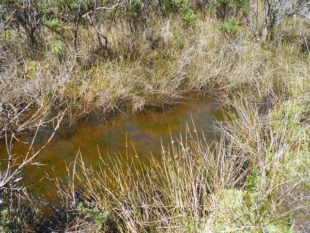On passe près d'une autre petite mare