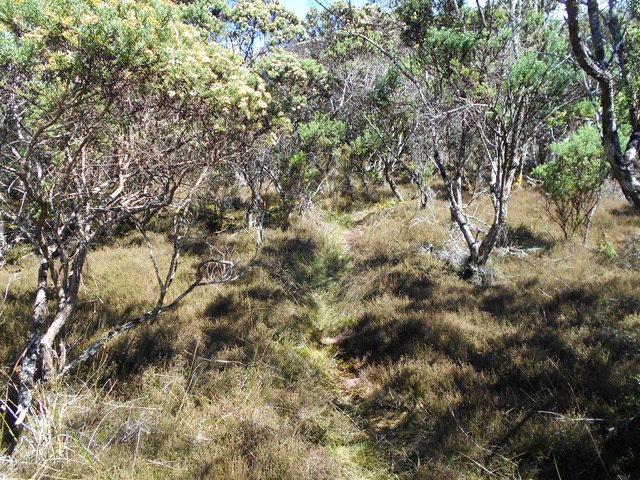 Le sentier se poursuit vers le fond du petit cirque
