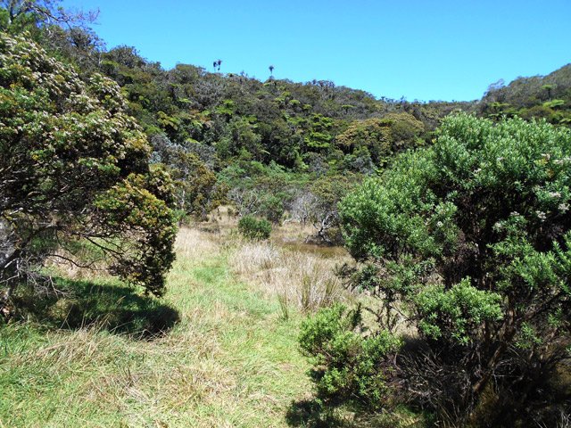 Ambavilles et fleurs jaunes préfèrent le terrain plus sec du petit cirque