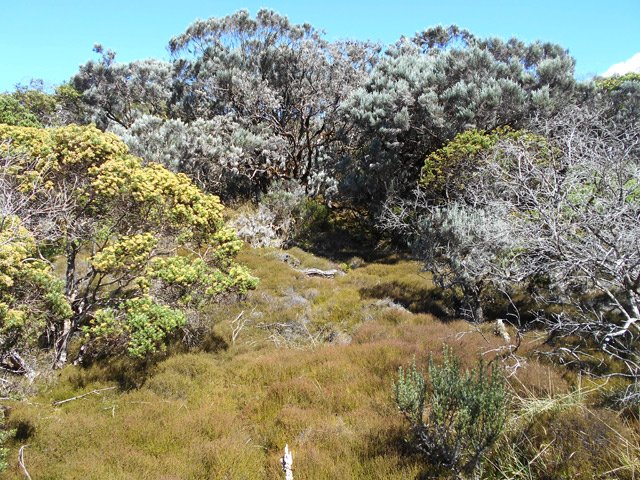 On oblique sur la gauche pour effectuer une courte boucle