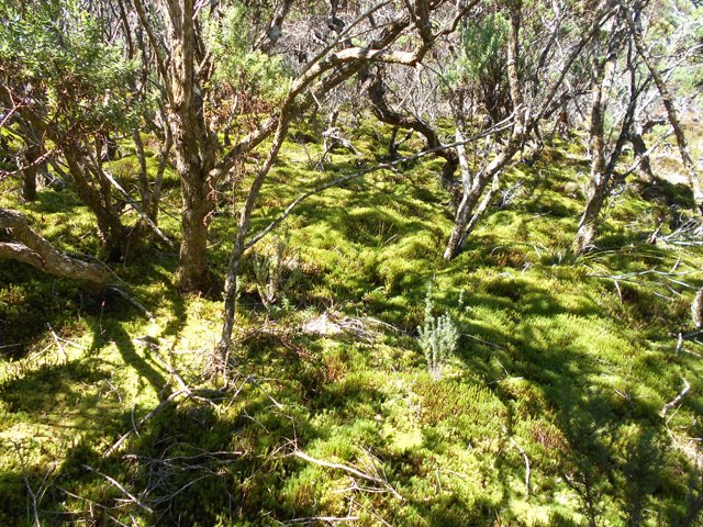 Quelques endroits magnifiques où on ne marche qu'avec les yeux