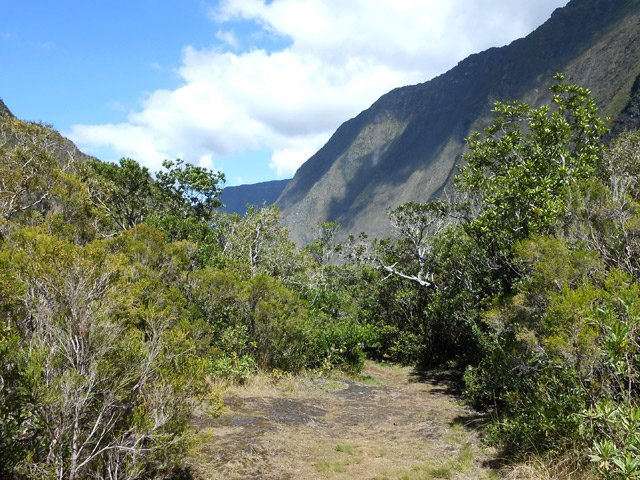 Large sentier dans les brandes ...