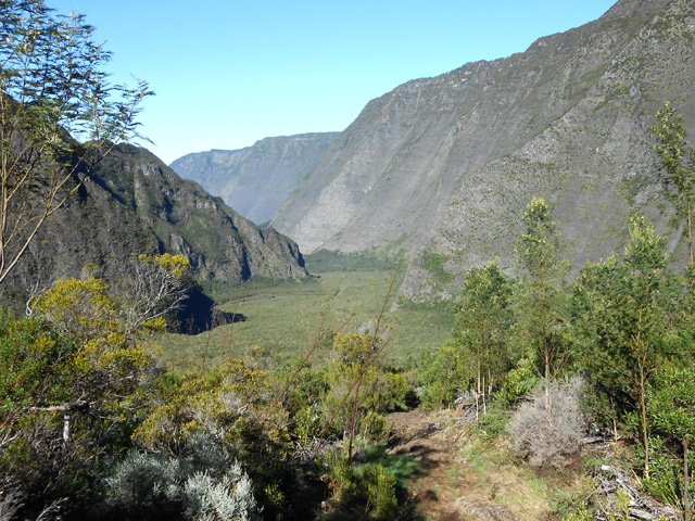 Belle vue sur Roche Plate au début des acacias noirs