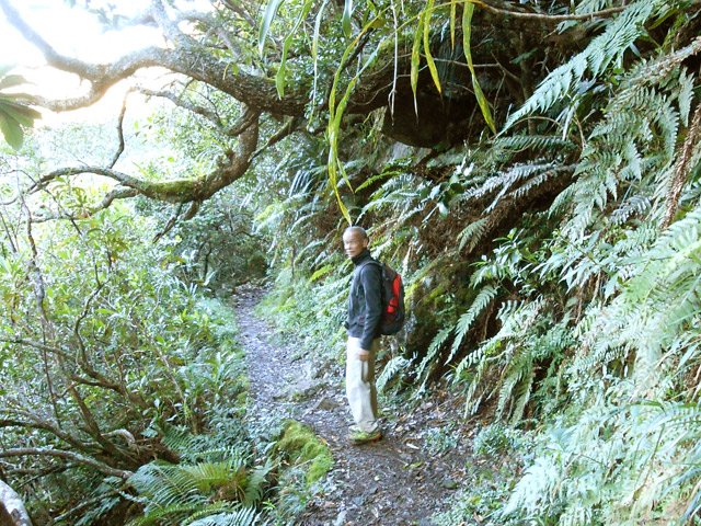 Une rare portion plate de la descente