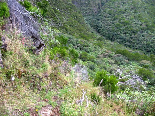 Une idée de la descente restant à effectuer